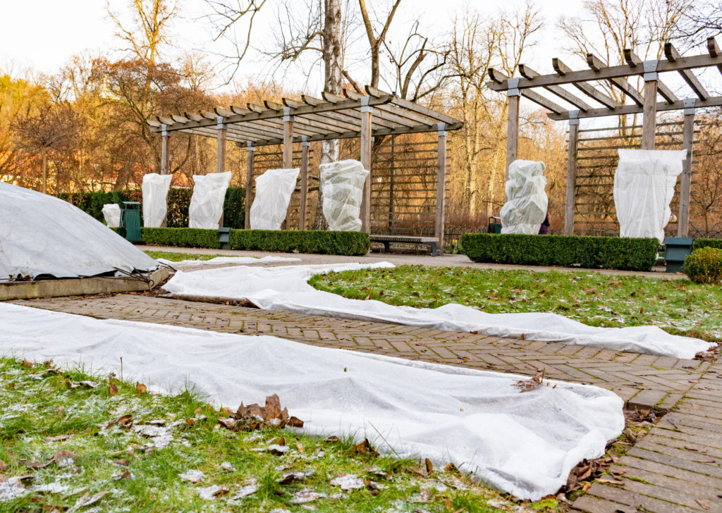 Pflanzen überwintern die richtigen Maßnahmen Henkhaus GmbH